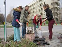 Заједничке функције: уређење кампуса