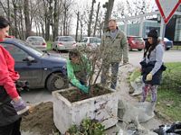 Заједничке функције: уређење кампуса