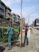 Обележен Светски дан шума